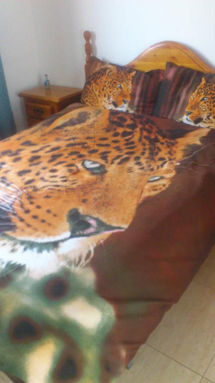 El Cuchillo Casa Kiki Guest House מראה חיצוני תמונה
